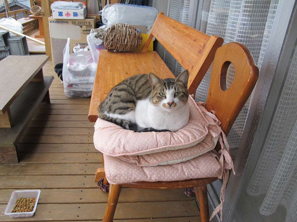 ����Ȃ��ƁE����Ȃ���