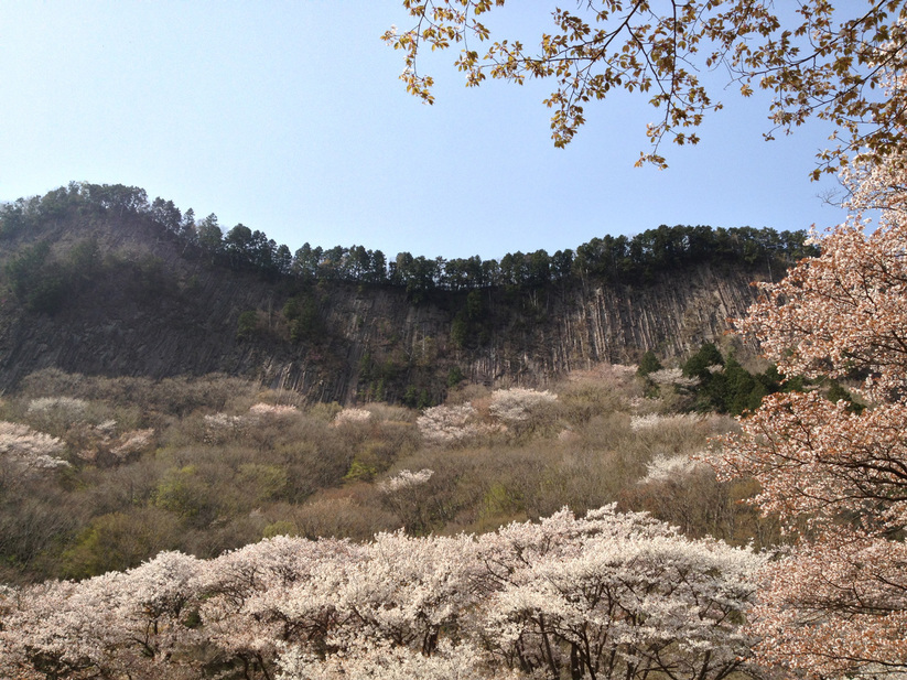 ����Ȃ��ƁE����Ȃ���