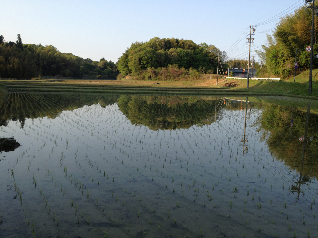 ����Ȃ��ƁE����Ȃ���