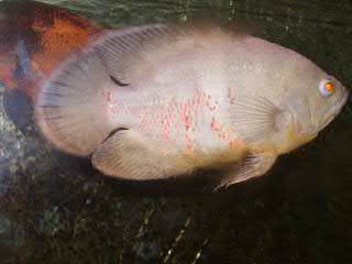 My Taste�@�`���y�`