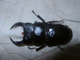 My Taste�@�`���y�`