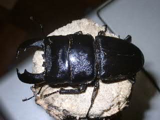 My Taste�@�`���y�`