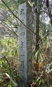 �`�����l���ǂ񂮂�