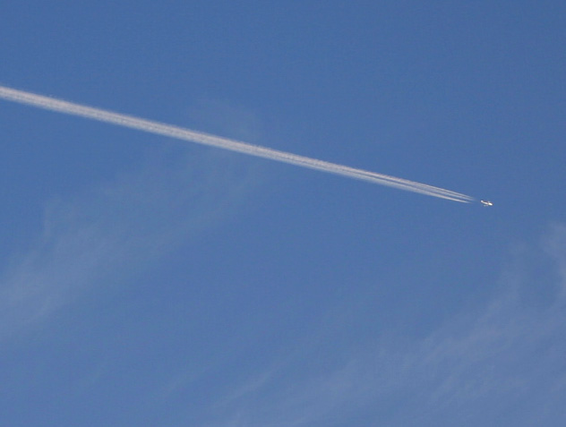 �`�����l���ǂ񂮂�