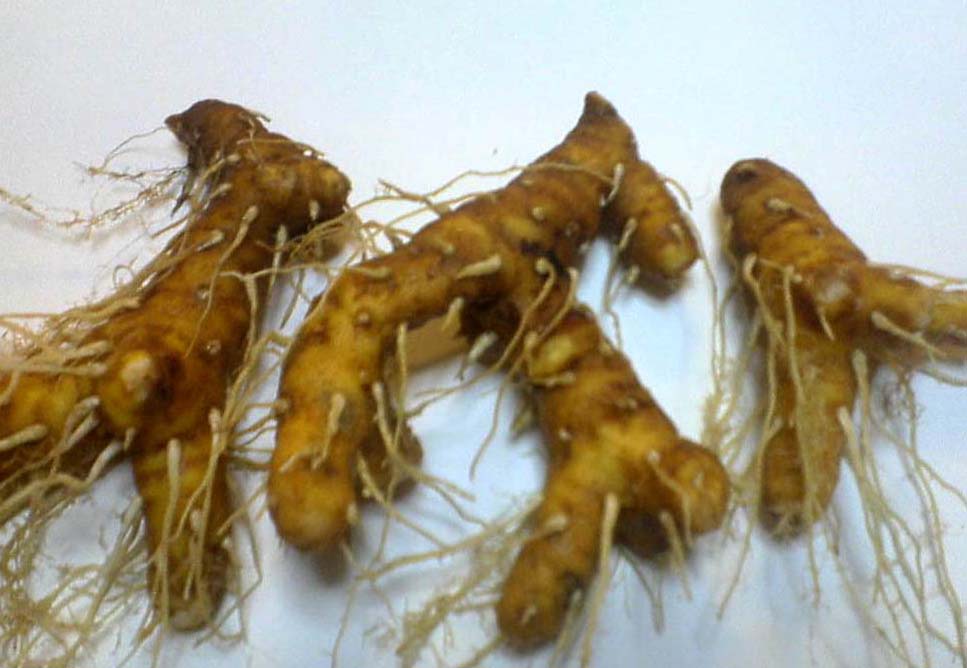 �`�����l���ǂ񂮂�