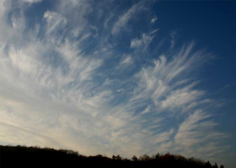 �`�����l���ǂ񂮂�