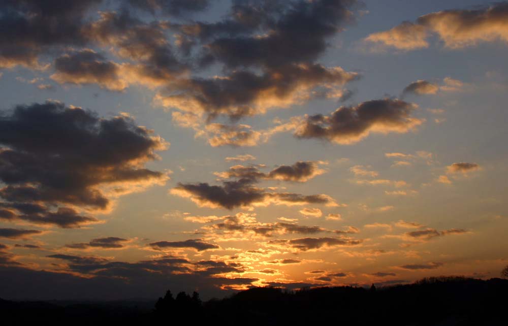 �`�����l���ǂ񂮂�