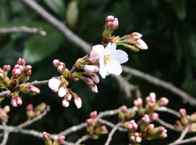 �`�����l���ǂ񂮂�