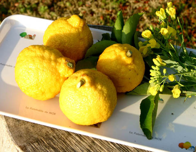 �`�����l���ǂ񂮂�