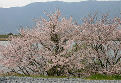 �`�����l���ǂ񂮂�