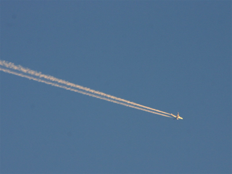 �`�����l���ǂ񂮂�