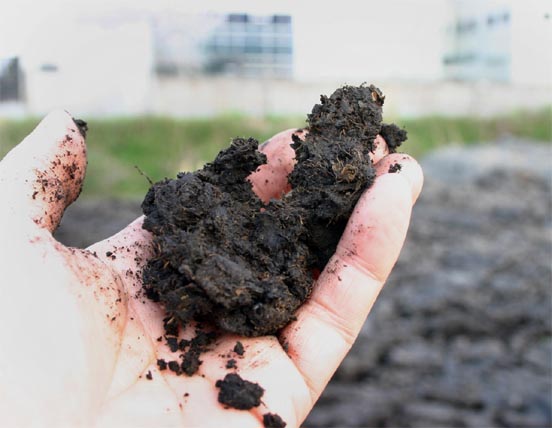 �`�����l���ǂ񂮂�