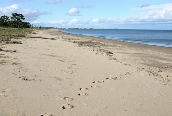 �`�����l���ǂ񂮂�