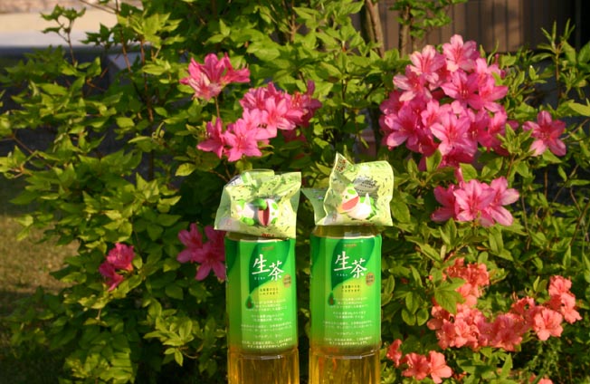 �`�����l���ǂ񂮂�