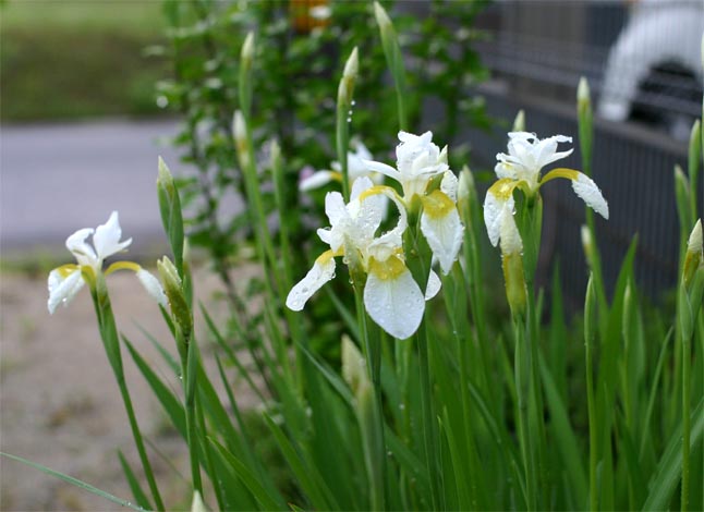 �`�����l���ǂ񂮂�