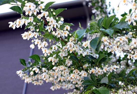 �`�����l���ǂ񂮂�