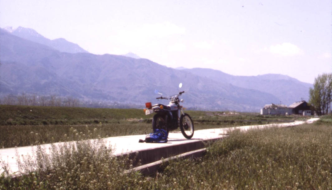 �`�����l���ǂ񂮂�