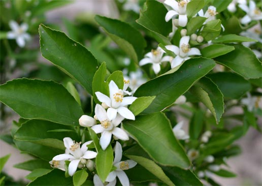 �`�����l���ǂ񂮂�