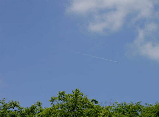 �`�����l���ǂ񂮂�