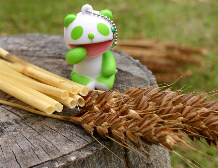 �`�����l���ǂ񂮂�