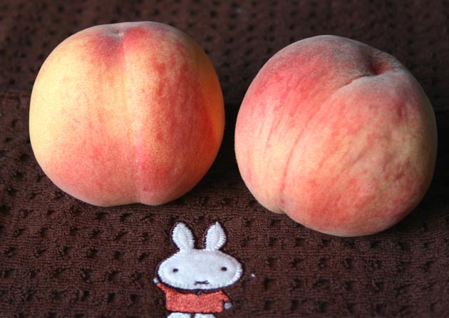 �`�����l���ǂ񂮂�