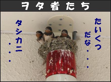 �`�����l���ǂ񂮂�