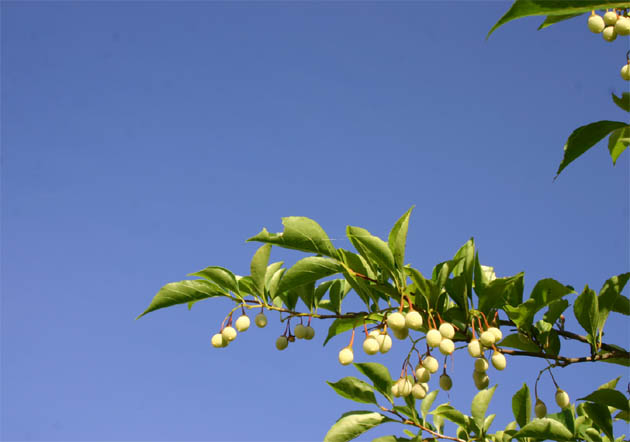 �`�����l���ǂ񂮂�