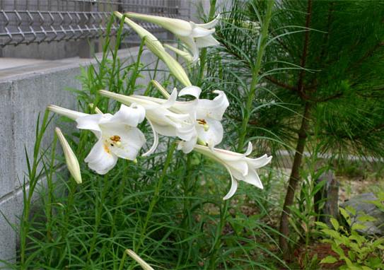 �`�����l���ǂ񂮂�