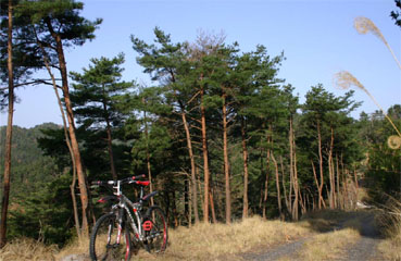 �`�����l���ǂ񂮂�