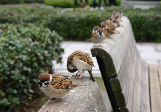 �`�����l���ǂ񂮂�