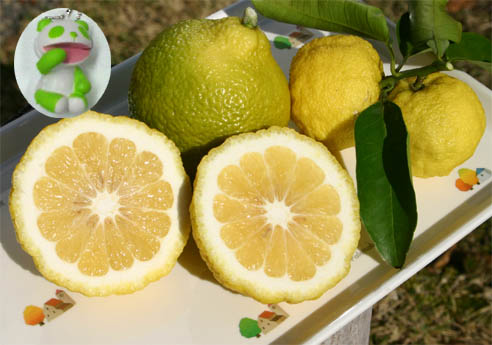 �`�����l���ǂ񂮂�