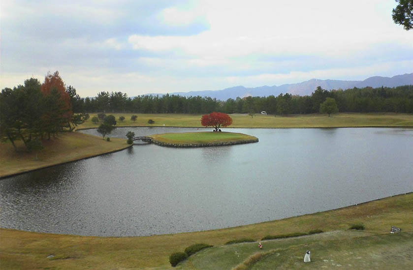 �`�����l���ǂ񂮂�