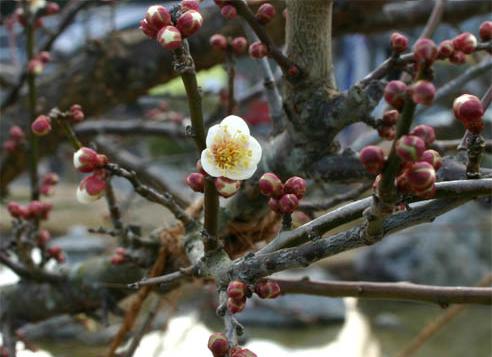 �`�����l���ǂ񂮂�