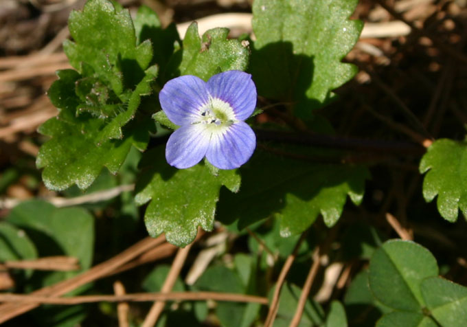 �`�����l���ǂ񂮂�