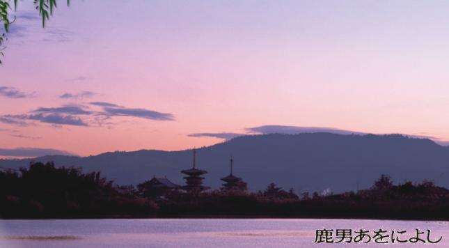 �`�����l���ǂ񂮂�