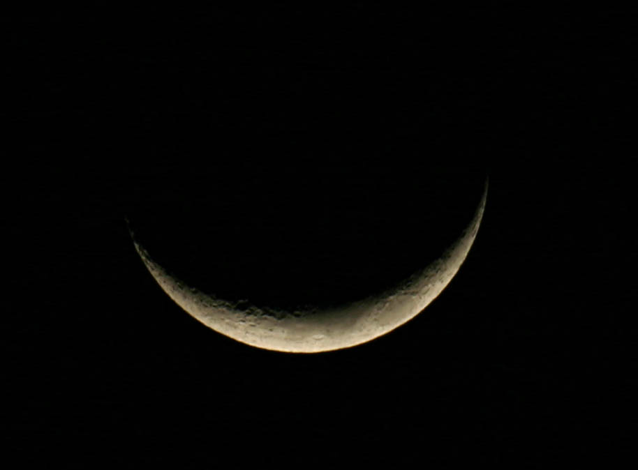 �`�����l���ǂ񂮂�