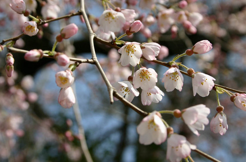 �`�����l���ǂ񂮂�