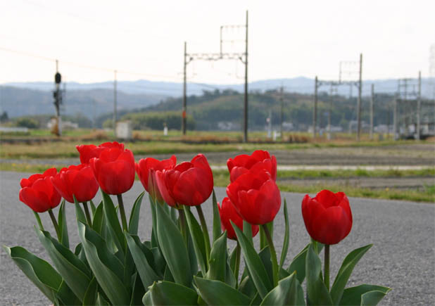 �`�����l���ǂ񂮂�