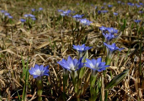 �`�����l���ǂ񂮂�