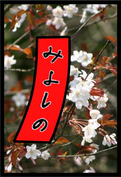 �`�����l���ǂ񂮂�