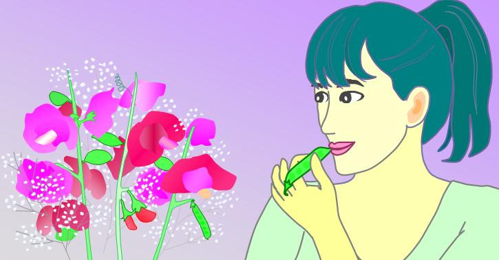 �`�����l���ǂ񂮂�