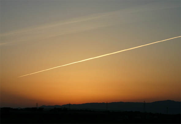 �`�����l���ǂ񂮂�