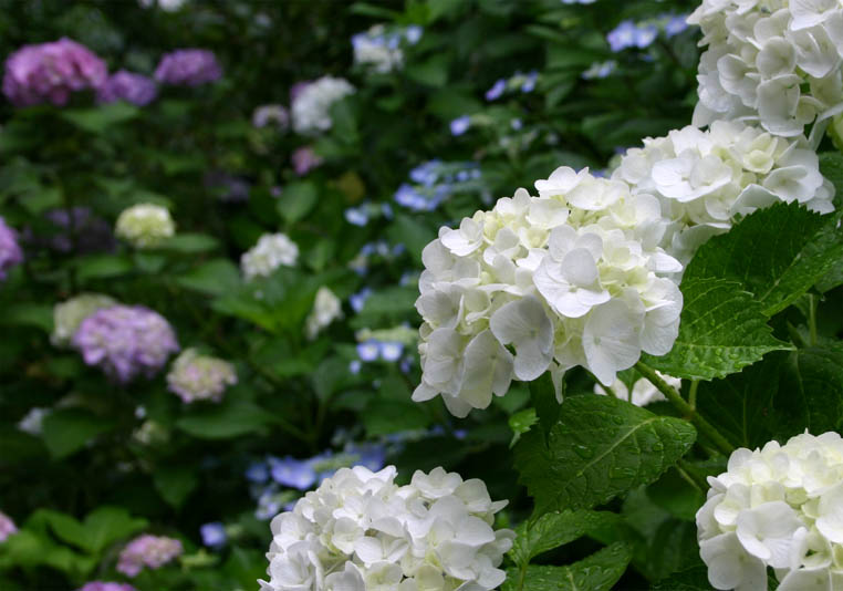 �`�����l���ǂ񂮂�