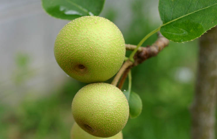 �`�����l���ǂ񂮂�