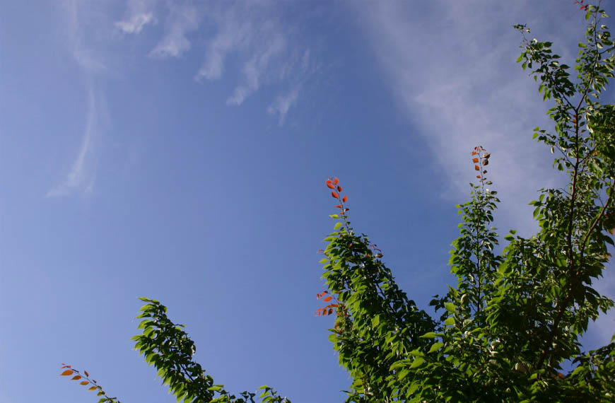 �`�����l���ǂ񂮂�