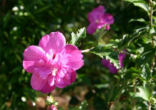 �`�����l���ǂ񂮂�