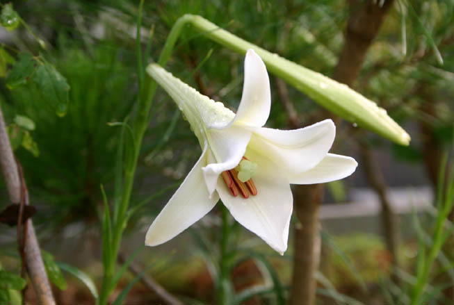 �`�����l���ǂ񂮂�