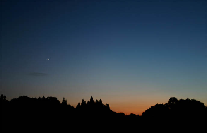 �`�����l���ǂ񂮂�