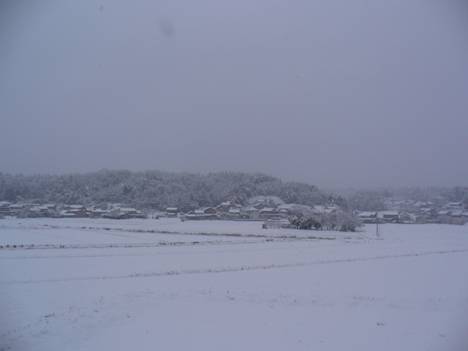 �R�~���j�e�B�[C&D�ւ�