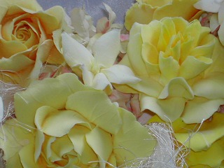 �R�~���j�e�B�[C&D�ւ�